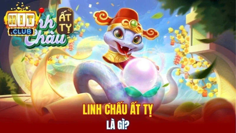 Linh Chấu Ất Tỵ là gì?